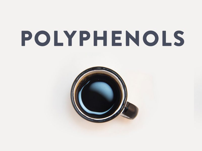 What are polyphenols in coffee?
